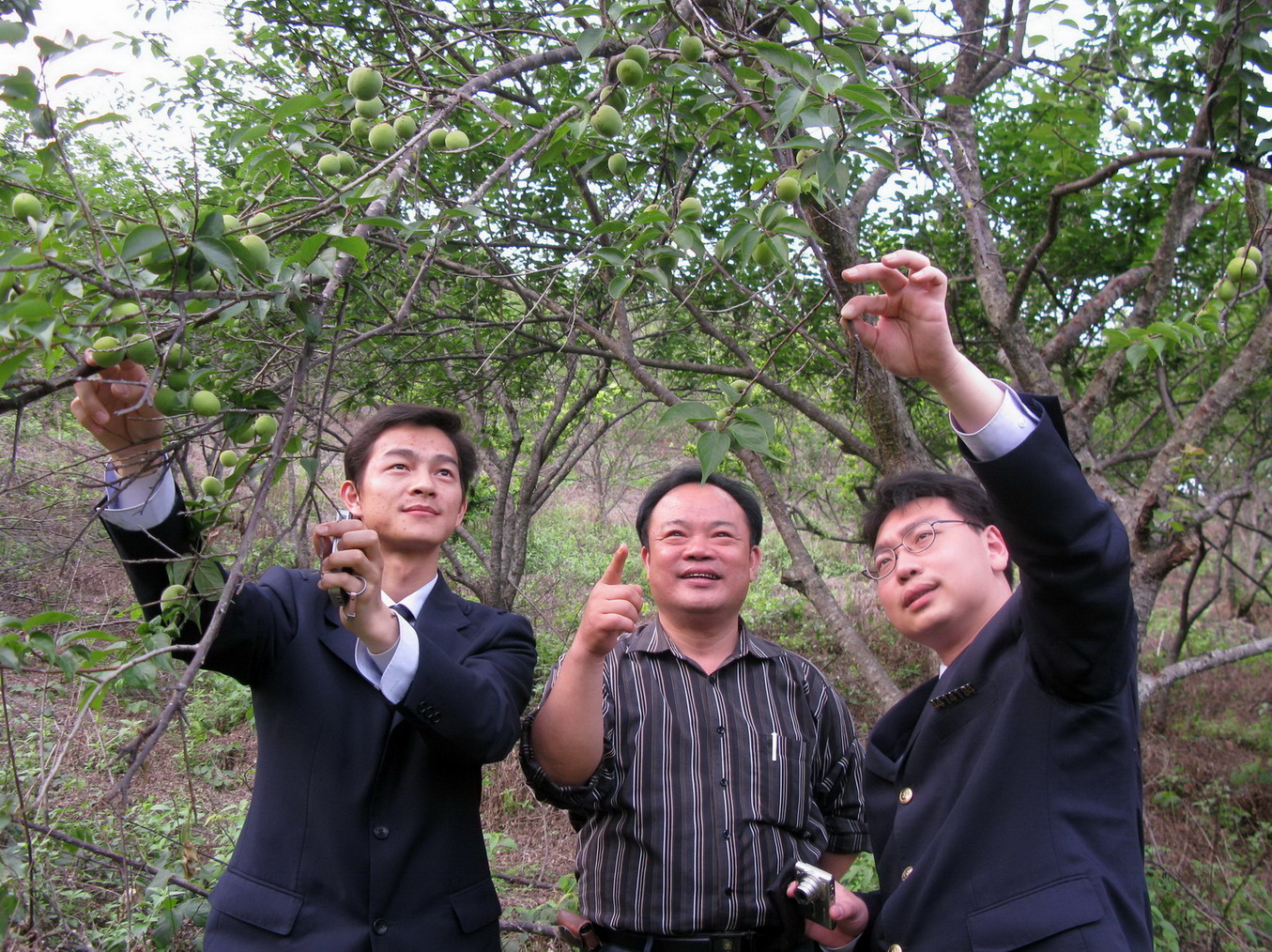 �������ϼ��쵼